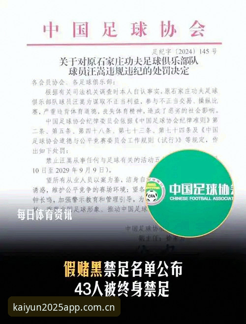 资深用户深度剖析：从足协第三批禁足名单看中国足球的“大扫除”
